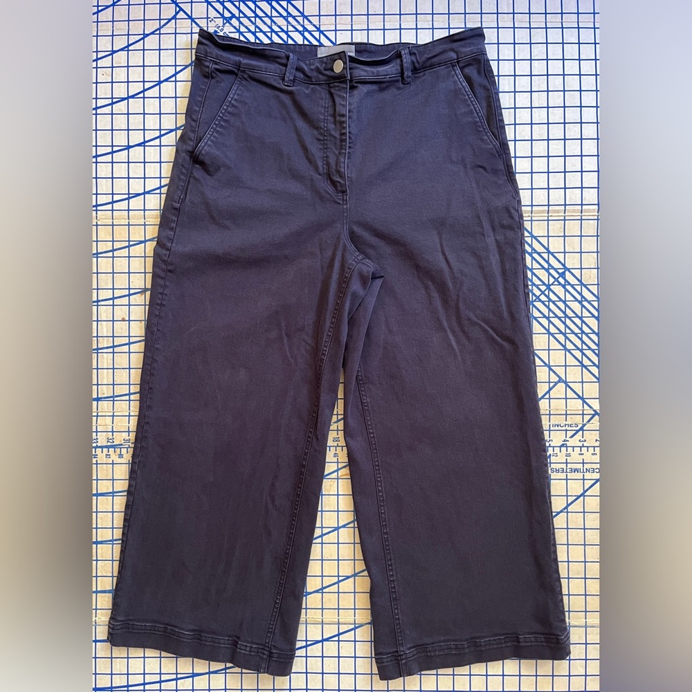 Everlane Cropped Wide Leg Pant in Navy - Size 16